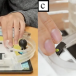 Accessible Navigation with BentoMuseum: A New 3D Map for Museums